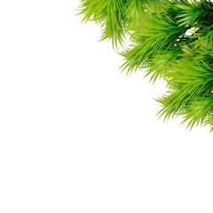 Obraz premium Artificial plastic green grass border isolated - Real Photography