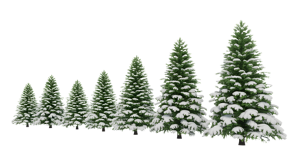 Row of snowy christmas trees isolated on transparent background isolated on transparent background