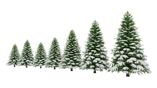 Row of snowy christmas trees isolated on transparent background isolated on transparent background