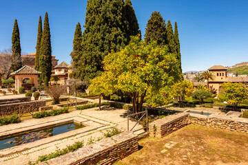 Orange tree in gardens of Partal in Alhambra, Granada, Spain