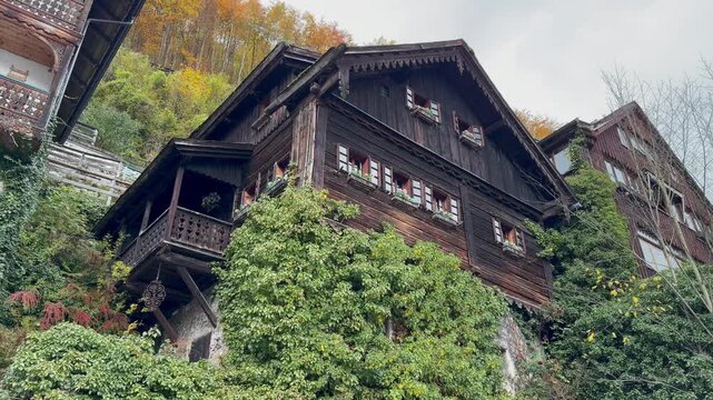 Traditional Alpine wooden houses built on a steep hillside in Hallstatt, Austria. Picturesque view of rustic architecture surrounded by autumn foliage and lush green ivy on a cloudy day.