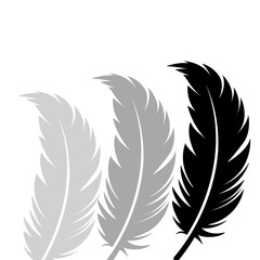Obraz premium feather vector illustration
