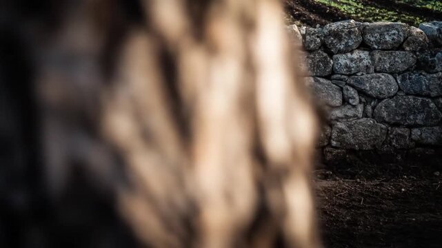 A stone wall partially frames an out-of-focus scene, featuring a rake and earth
