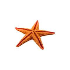 Starfish isolated on transparent PNG — perfect for beach graphics, summer themes, marine decor, and coastal illustrations