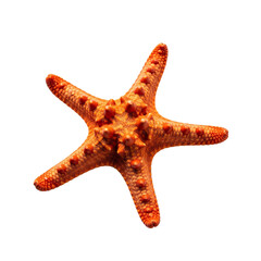 Starfish isolated on transparent PNG — perfect for beach graphics, summer themes, marine decor, and coastal illustrations