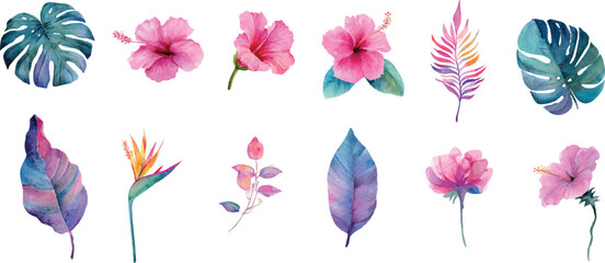 vector illustration of a flower and leaf