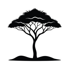 Silhouette of an acacia tree nature africa