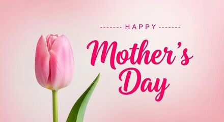 Celebrate Mother's Day with a stunning pink tulip flower against a soft, elegant background for heartfelt greeting cards and memorable gifts