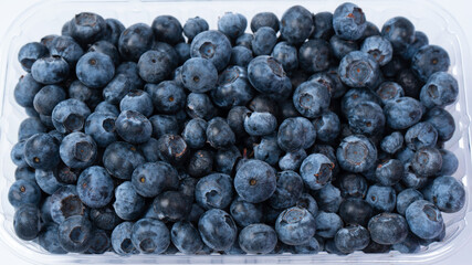Blueberries in a plastic container isolated on a white background.
