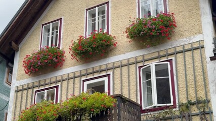 Picturesque facade of a traditional Alpine house in Hallstatt, Austria, featuring three windows decorated with bright red and pink geranium flower boxes against a textured yellow stucco wall. - Powered by Adobe