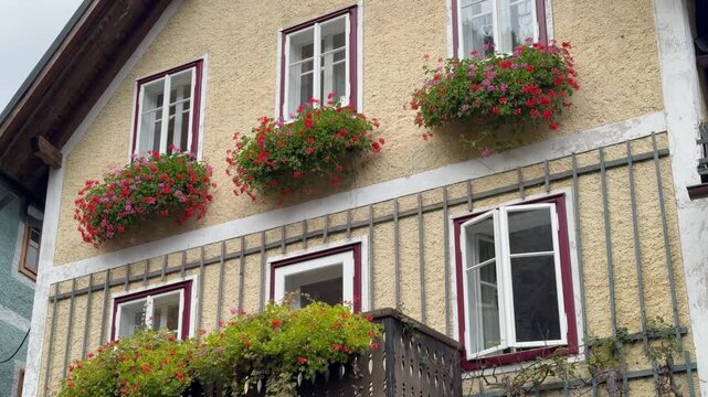 Picturesque facade of a traditional Alpine house in Hallstatt, Austria, featuring three windows decorated with bright red and pink geranium flower boxes against a textured yellow stucco wall.