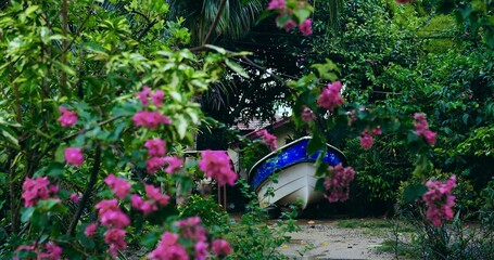 boat nestled among pink bougainvillea in overgrown garden, weathered hull half-hidden by vivid petals and lush