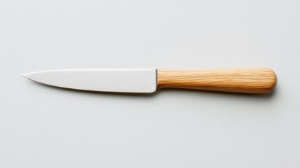 A beautifully crafted wooden-handled kitchen knife lies flat against a clean white backdrop. Its sharp blade gleams, inviting culinary adventures and food preparation