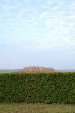 field in fall 