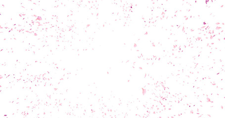Cherry blossom petals flying here in the wind. Isolated on alpha background. 3D rendering.
