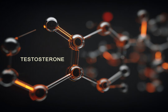 Understanding the molecular structure of testosterone in modern science - Powered by Adobe
