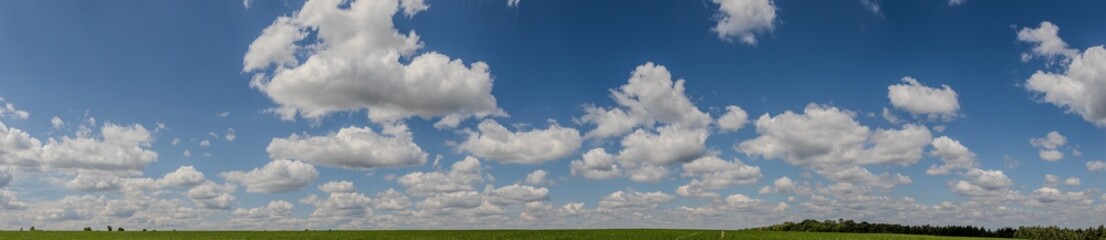 Fototapeta premium Wide panoramic view of fluffy clouds against a bright blue sky over a vibrant green field on a sunny day