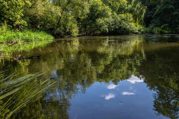 Calm river reflecting green trees and blue sky in a tranquil natural setting near a wooded area during daytime