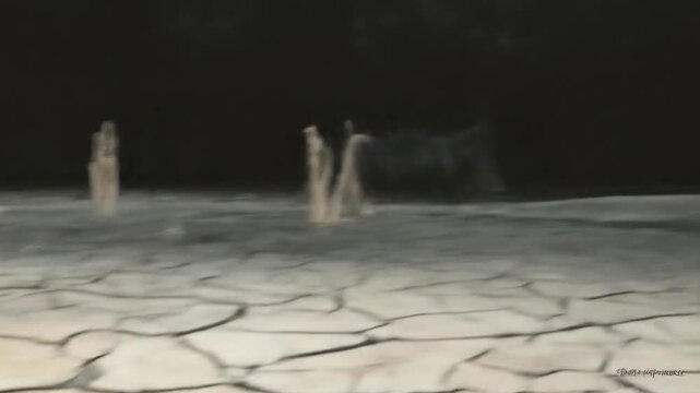 A grayscale painting of a canine, exploring a cracked earth, obscured by blur and depth