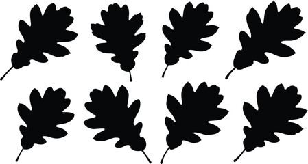 Vector Collection of Oak Leaf Silhouettes Illustrating Fall Autumn Foliage and Forest Nature Elements for Design, Decoration, and Seasonal Themes