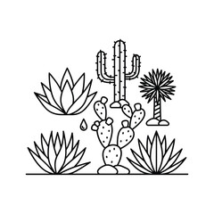 Desert plants collection with various cacti and succulents