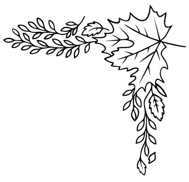 Black corner ornament with trailing maple leaves and branches