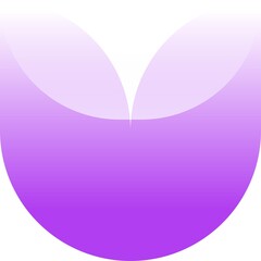 butterfly shape on pink background