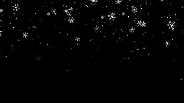 snow flakes falling alpha channel animation, winter snow flakes new year and Christmas isolated social media motion design element	
