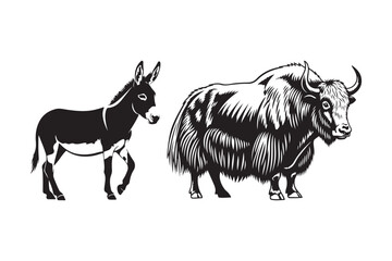 Black and white illustration of a donkey and a yak side by side
