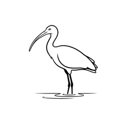 Obraz premium A minimalist black line drawing of an ibis isolated on transparent background