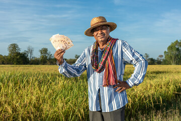 Smiling elderly Asian male farmer wearing hat and blue plaid shirt holding Thai banknotes standing in paddy a rice field.