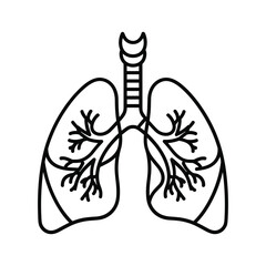 Illustration of human lungs, isolated on perfect for medical and educational purposes