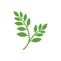 Fototapeta premium Green Leaf icon shape fresh flat vector design.