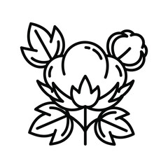 Cotton plant icon with bolls and leaves, natural fiber symbol