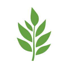 Fototapeta premium Green Leaf icon shape fresh flat vector design.