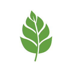 Fototapeta premium Green Leaf icon shape fresh flat vector design.
