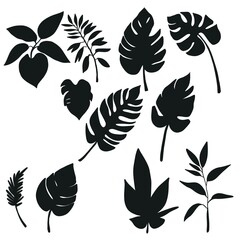  botanical silhouettes