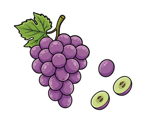 Purple Grapes Vector Illustration, Bunch of Grapes with Leaf Isolated on White Background