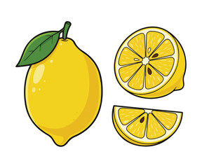 Yellow Lemon Citrus Vector Illustration, Whole, Half and Slices Isolated on White Background