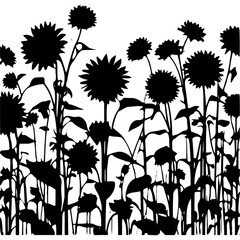 Black and white sunflower field vector art floral design illustration art silhouette