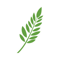 Fototapeta premium Green Leaf icon shape fresh flat vector design.