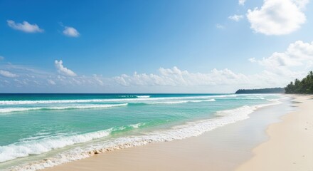 Obraz premium tropical beach with palm trees