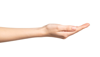 Human hand offering gesture showing open palm