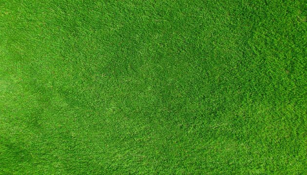 Green Grass Background Texture