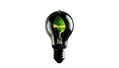Glowing light bulb with a growing green plant inside against a black background