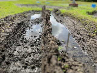Low angle of Deep muddy truck tire tracks cutting through wet grassland after rain, illustrating rugged terrain and heavy vehicle impact.