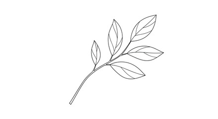 Minimalist black and white line art of a simple plant branch with several leaves creating an elegant botanical drawing.