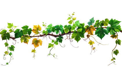 Lush vine with varying shades of green, yellow, and brown leaves, arranged horizontally