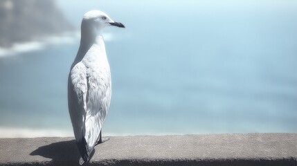 Seagull on Ledge Overlooking Calm Sea