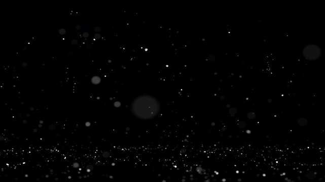 Looping snow animation overlay, falling snow settling on ground with dolly-in camera movement into scene depth